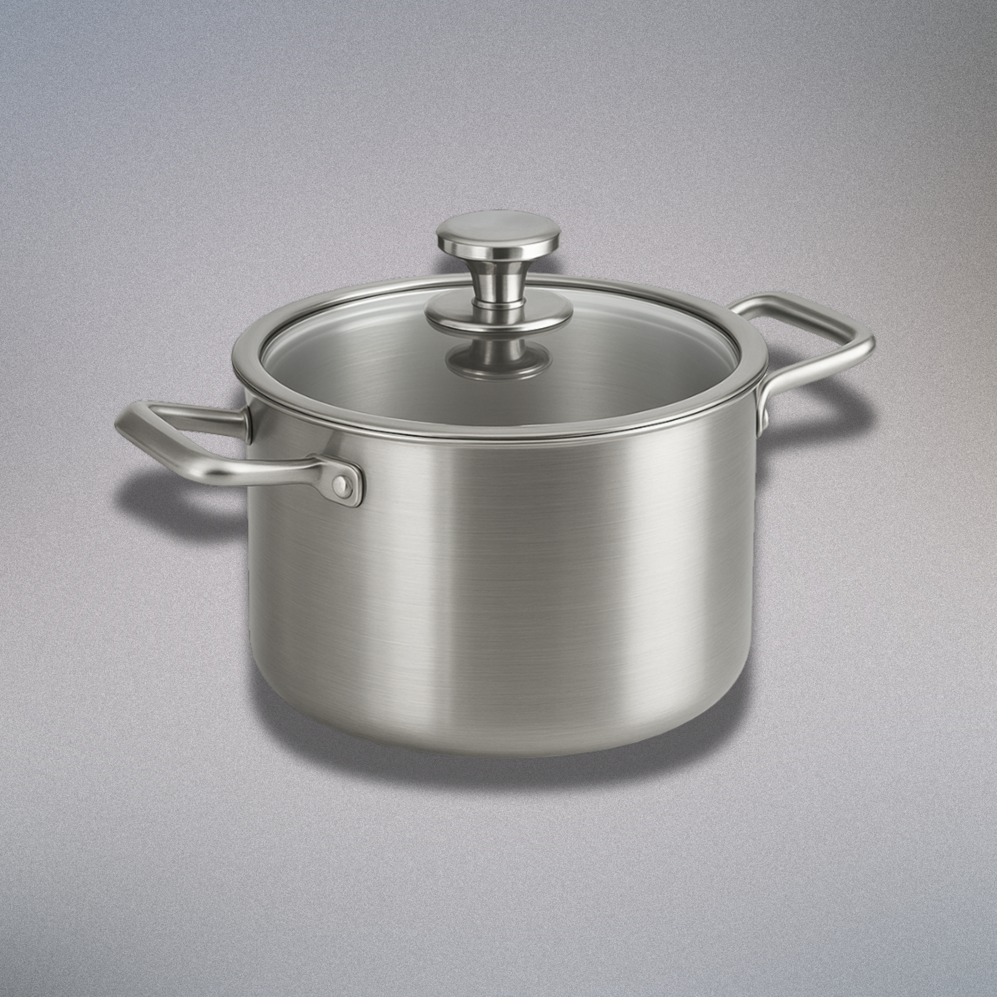סיר נירוסטה | stainless steel pot